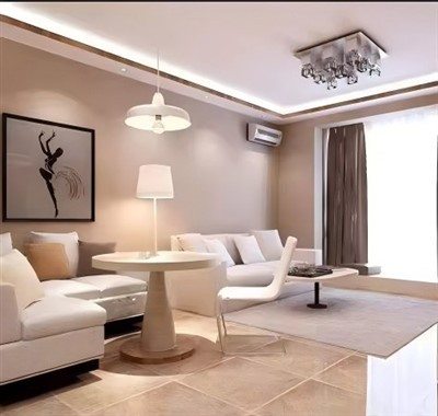 Internal Latex Paint